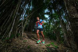 BIB: 
                            <button type="button" onclick="openModal(19395298)" class="btn btn-primary btn-sm float-right btn-popup" data-toggle="modal" data-target=".modal-high-quality">
                        <i class="fas fa-shopping-cart"></i> Add to Cart
                    </button>
                                            <button type="button" onclick="isThisMe(19395298, true)" class="btn btn-success btn-sm float-right btn-popup btn-isme hidden" data-toggle="tooltip" data-placement="bottom" title="นี่คือรูปของคุณใช่ไหม คลิกที่นี่เพื่อเอาเข้าอัลบั้ม">
                        <i class="fas fa-plus"></i> Add to album
                    </button>
                    <button type="button" onclick="isThisMe(19395298, false)" class="btn btn-warning btn-sm float-right btn-popup btn-isnotme hidden">
                        <i class="fas fa-ban"></i> Remove from album
                    </button>